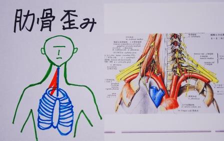 頚肩腕症候－奥田整骨院･茨木市